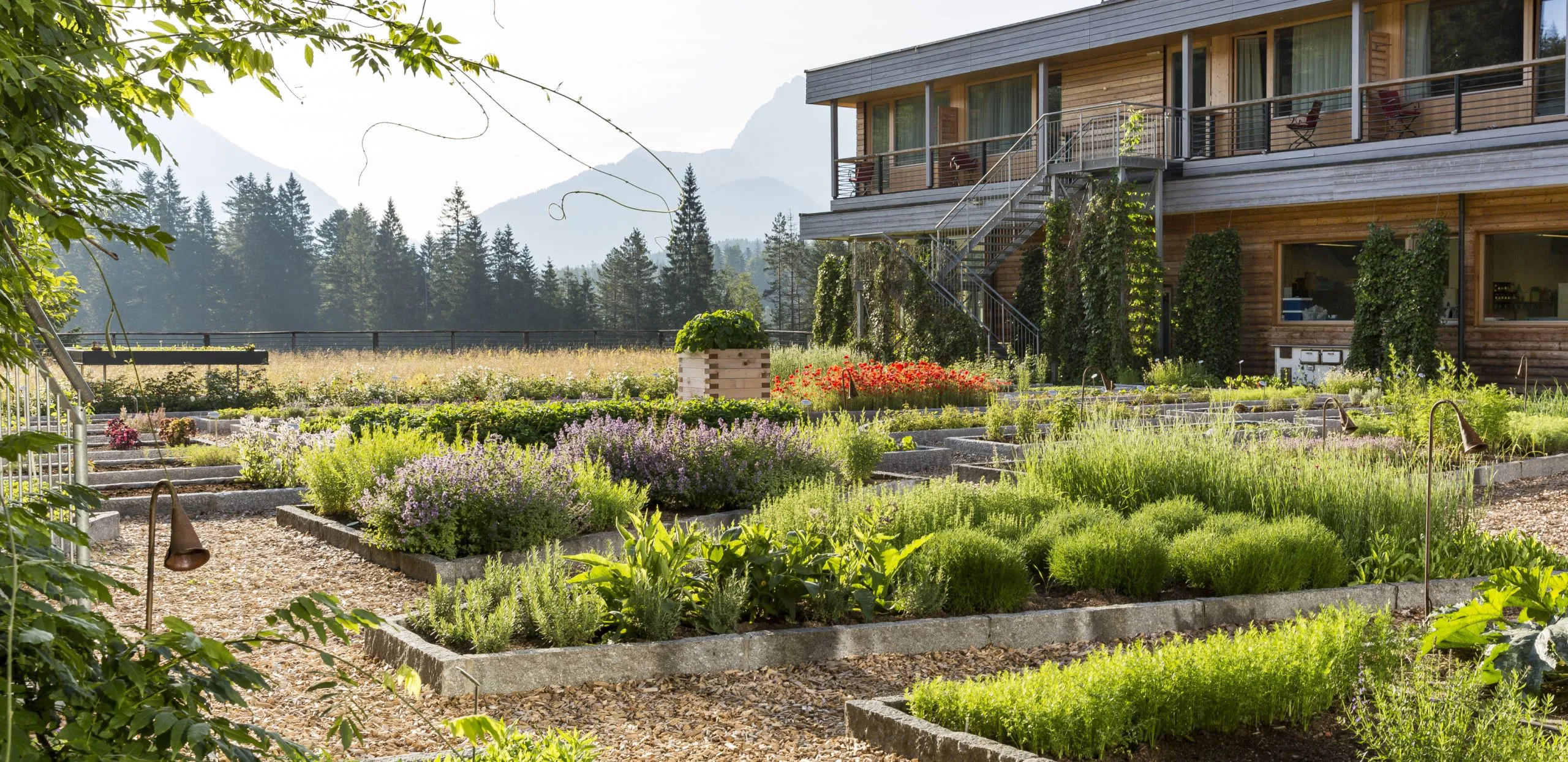The Herb Garden in Kranzbach