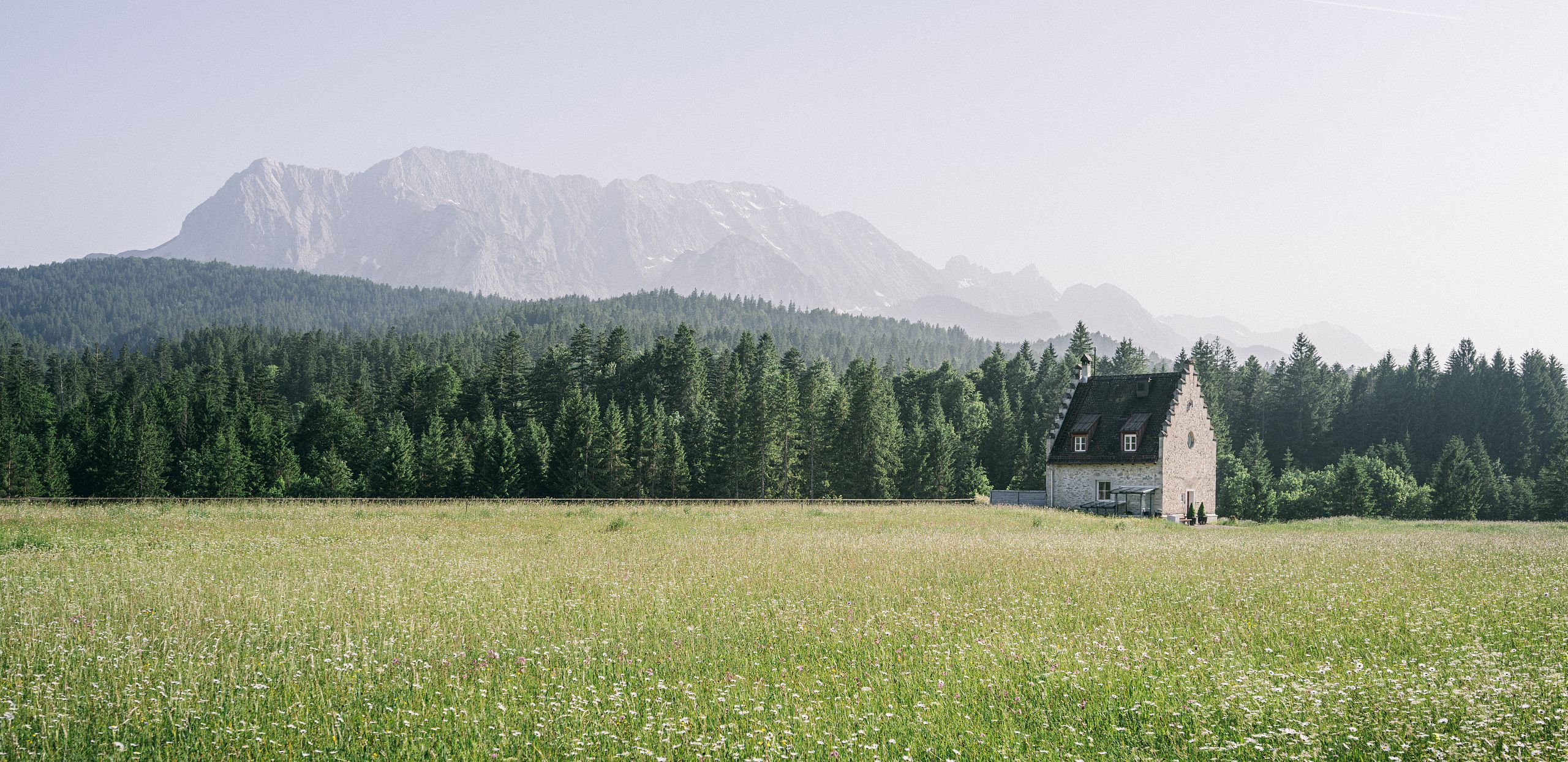 DKR_Peter Koren_Dezember_24