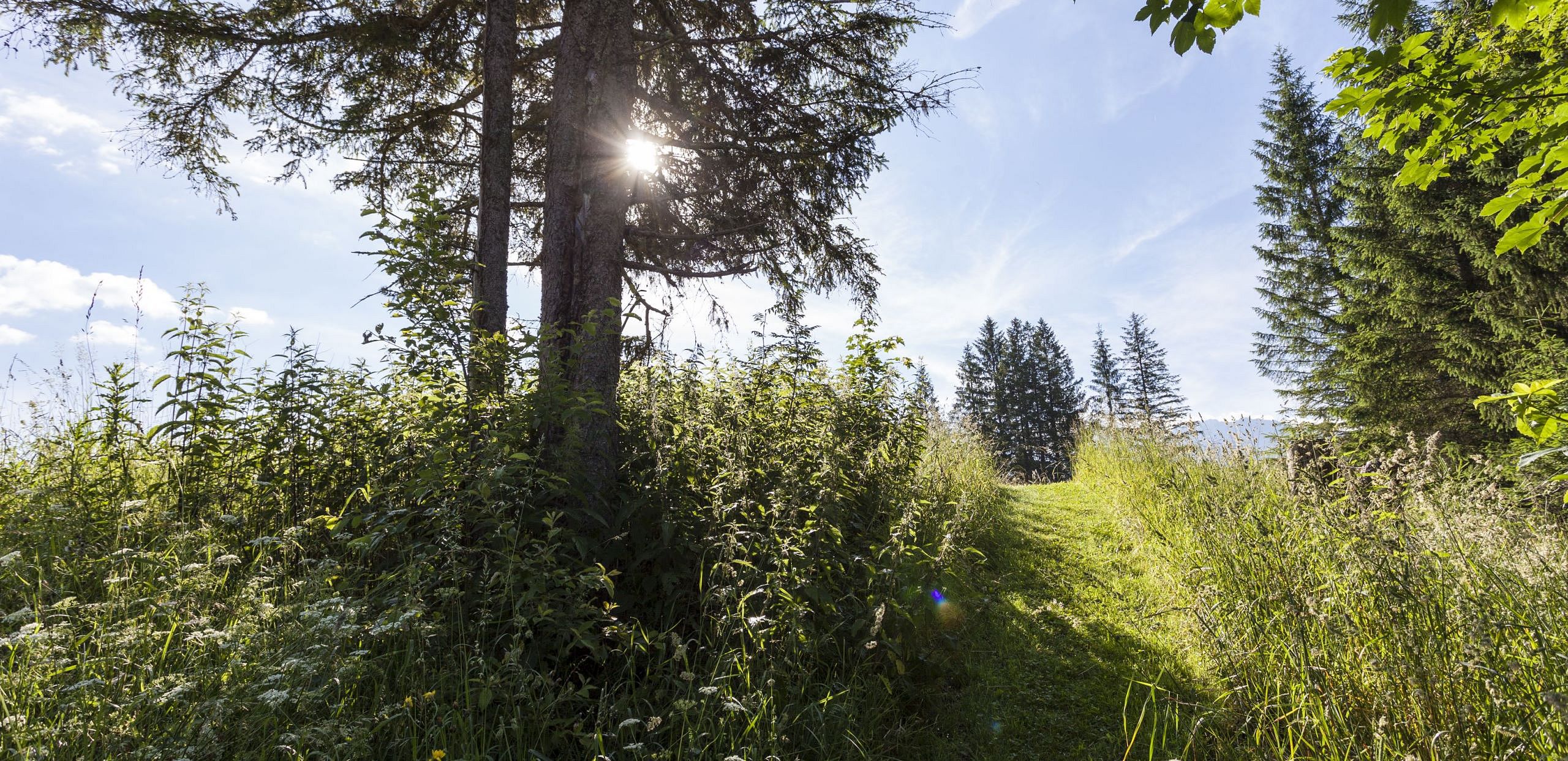 Rückzugsoase inmitten einer idyllischen Berglandschaft