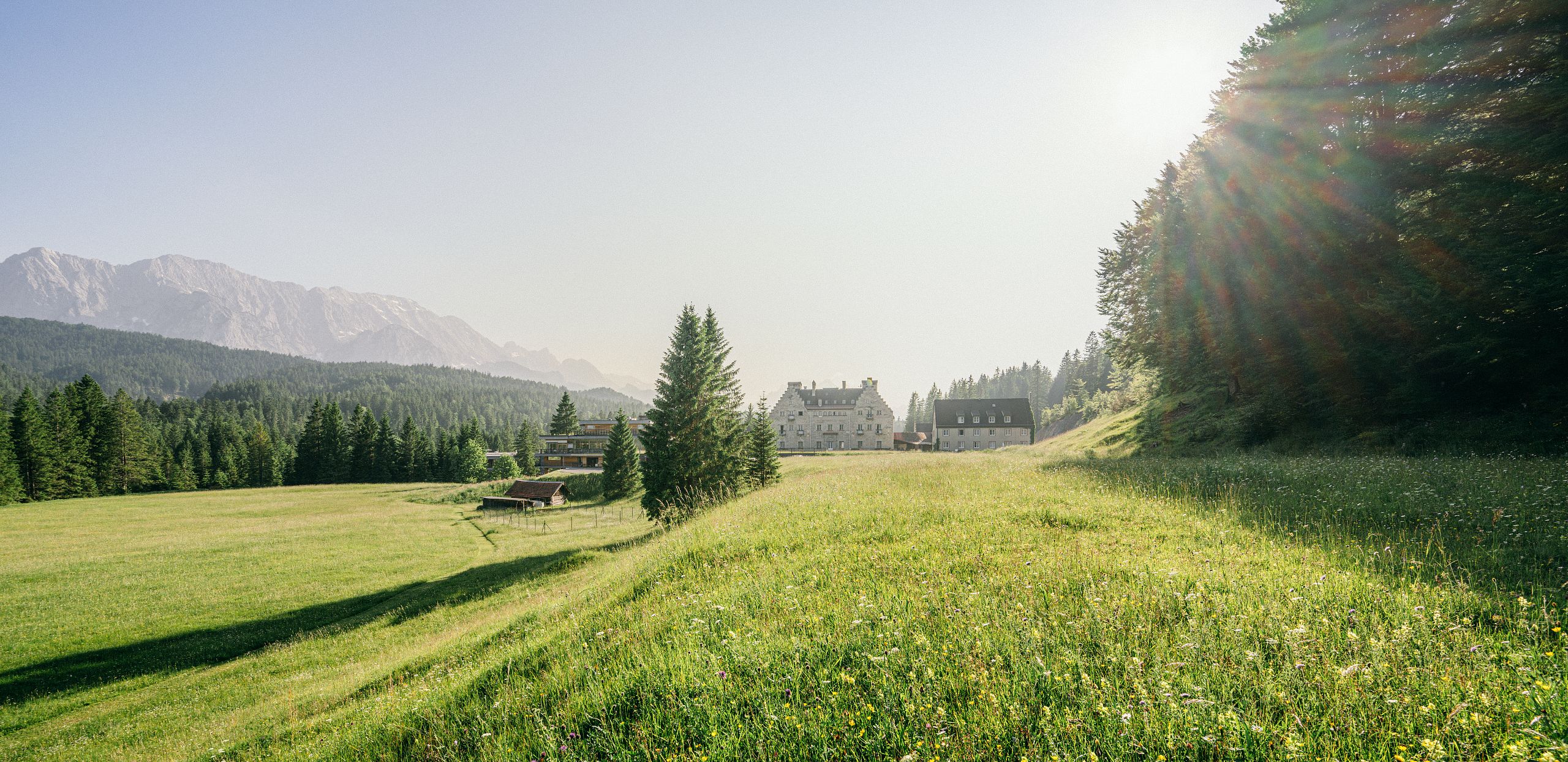 Sommer_Rückansicht