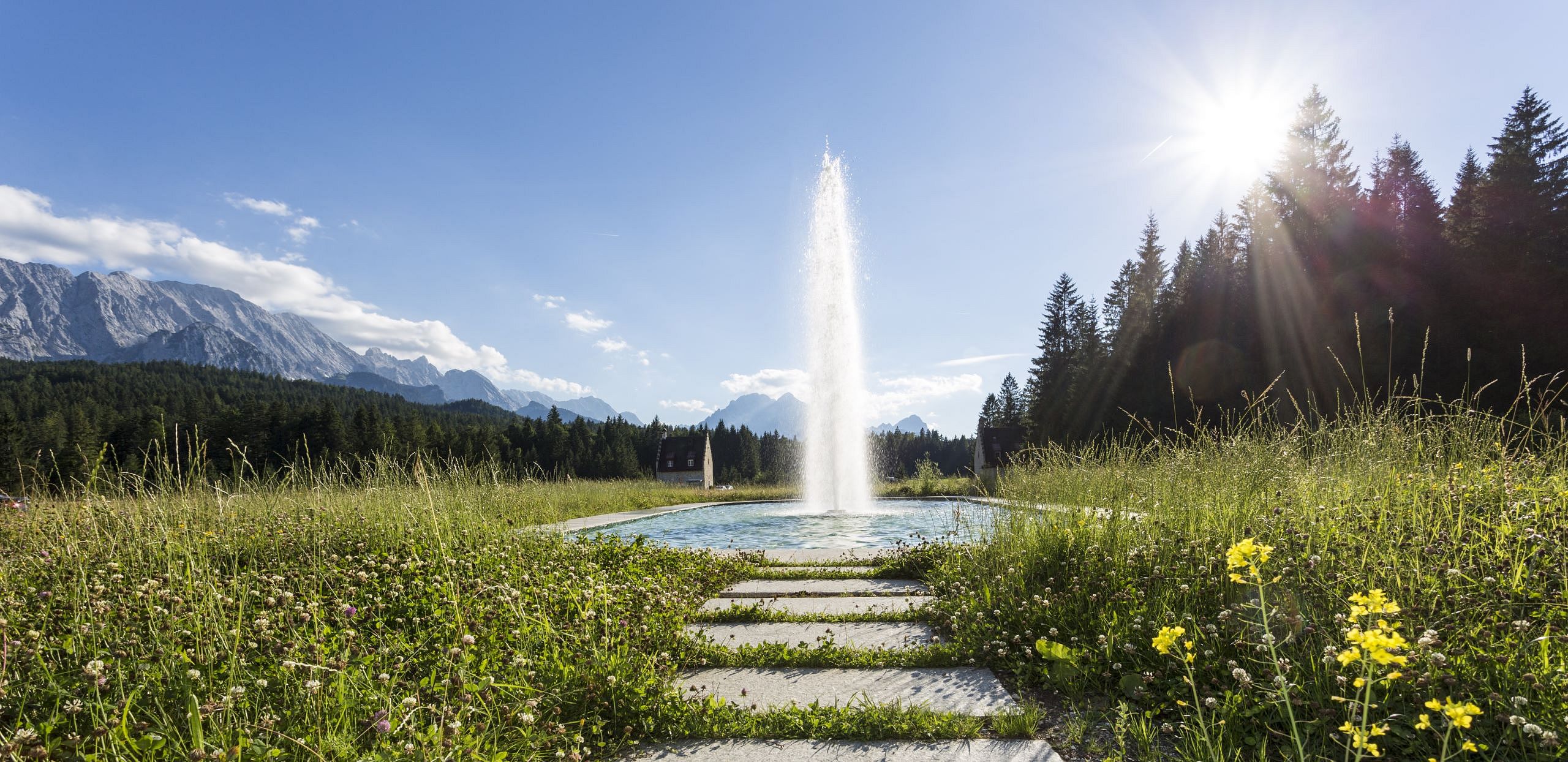 strahlende Wasserfontäne im Sommer