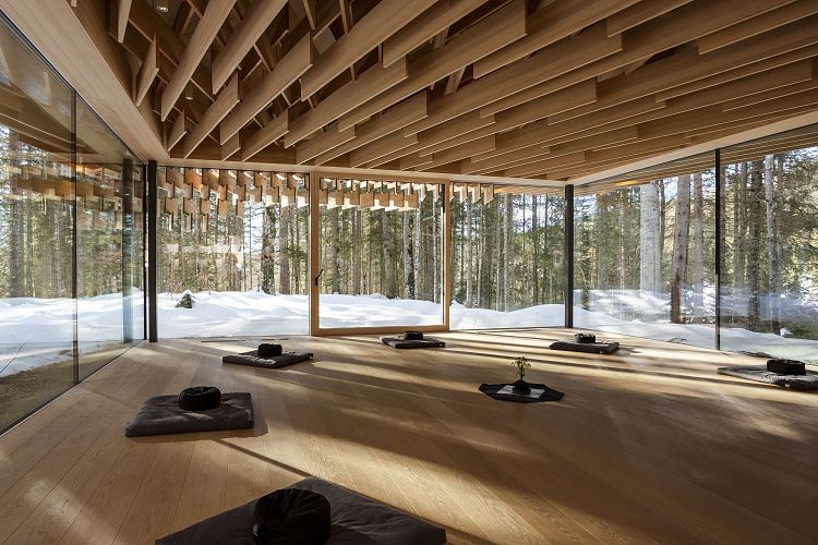 Das echte Mädesüß