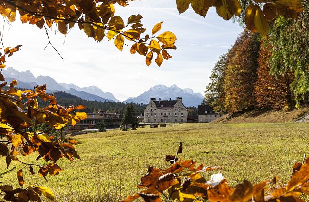 Golden Autumn Days