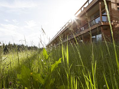 Unsere Zimmertypen im »Gartenflügel«