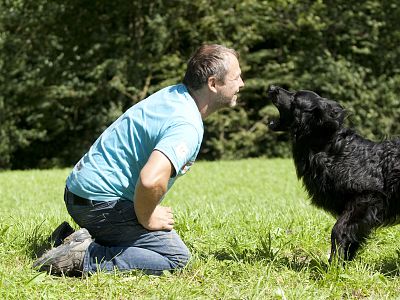 Kommunikation der Hunde: innere Haltung und Beziehung plus Körpersprache