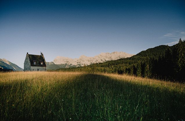 Golden Forest Retreat