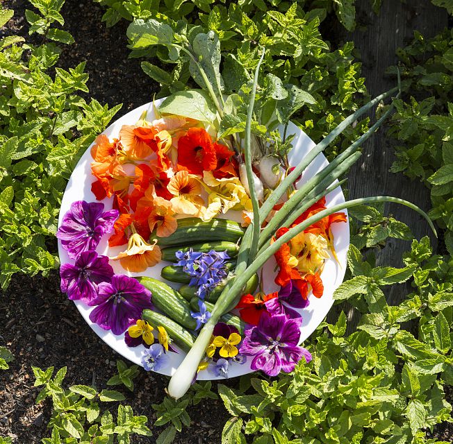 The Herb Garden in Kranzbach
